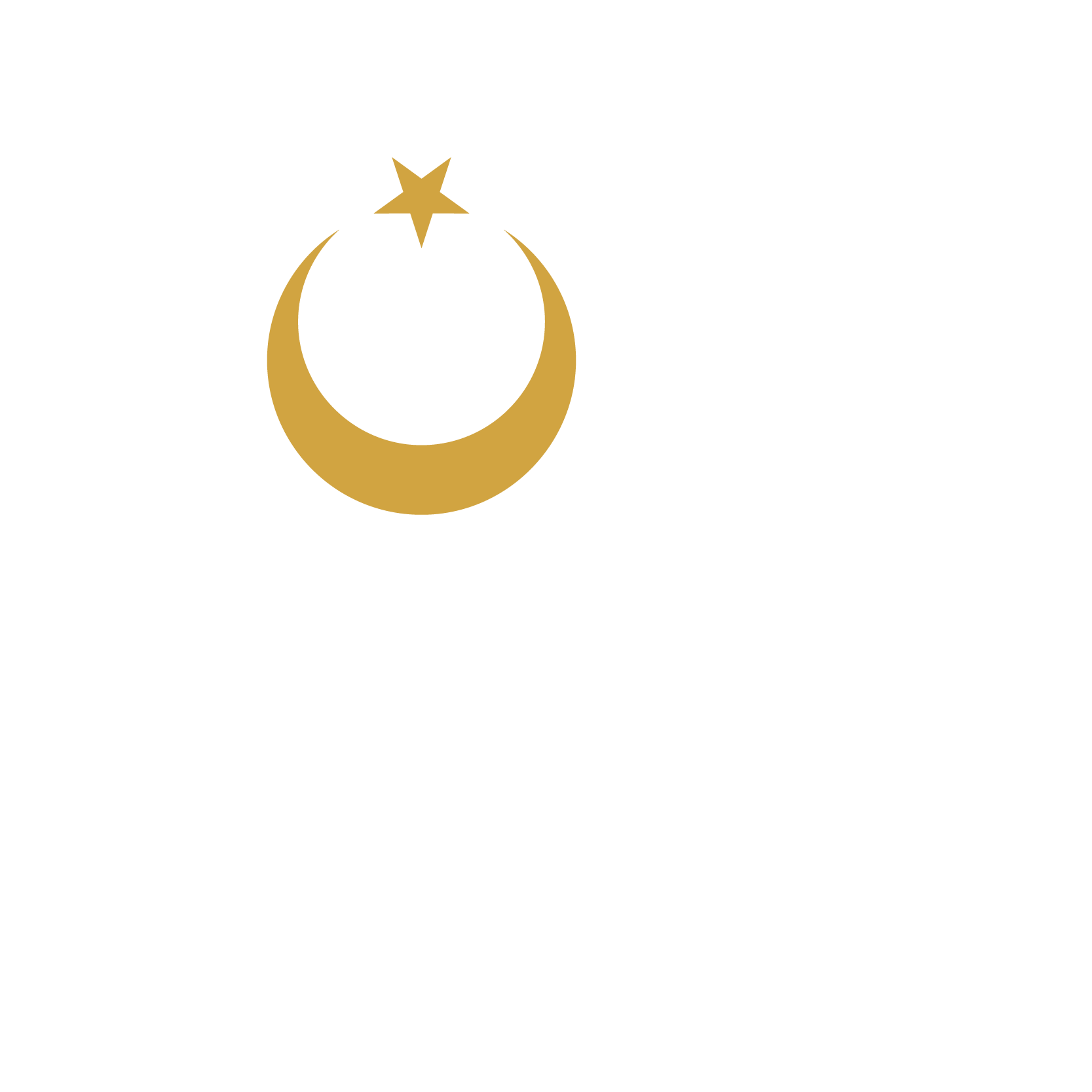 Türk Altın Holding
